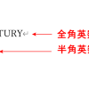 全角および半角英数字