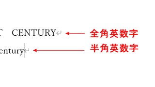 全角および半角英数字