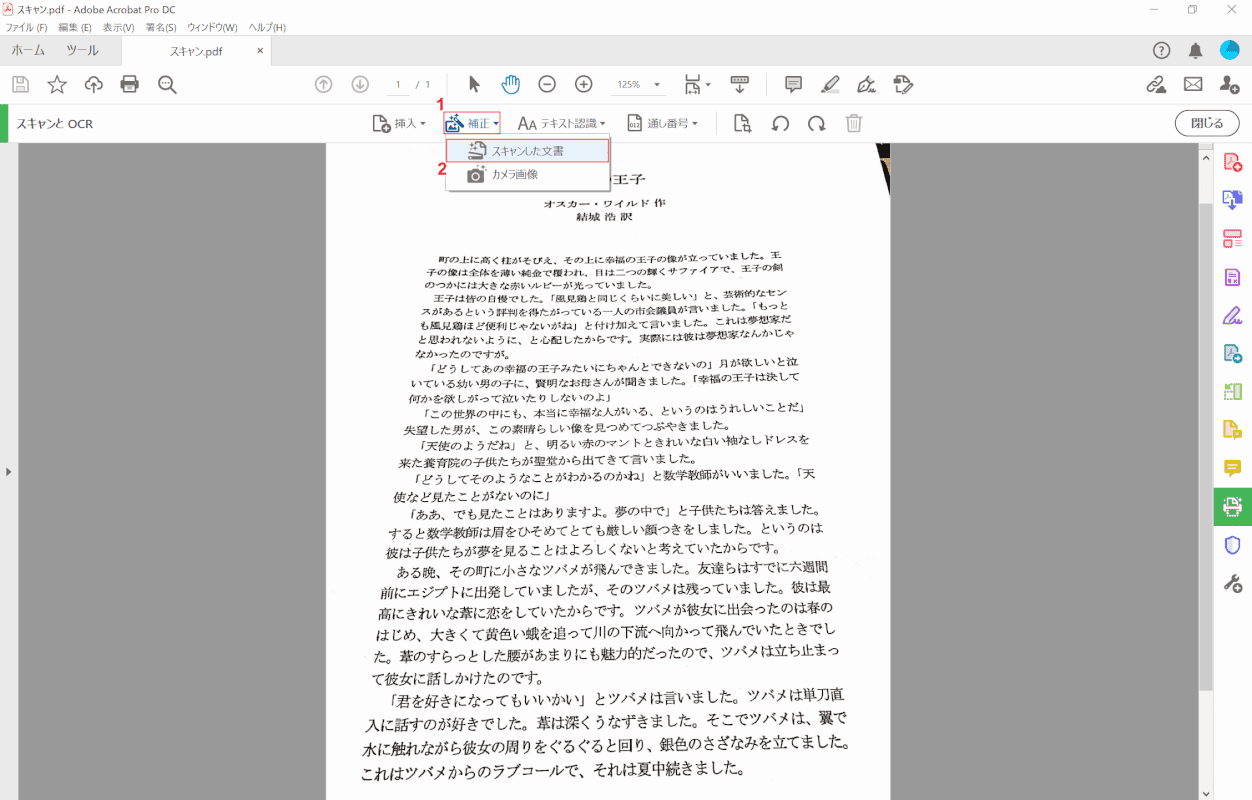 pdf-text-conversion Adobe Acrobat Pro 補正の選択