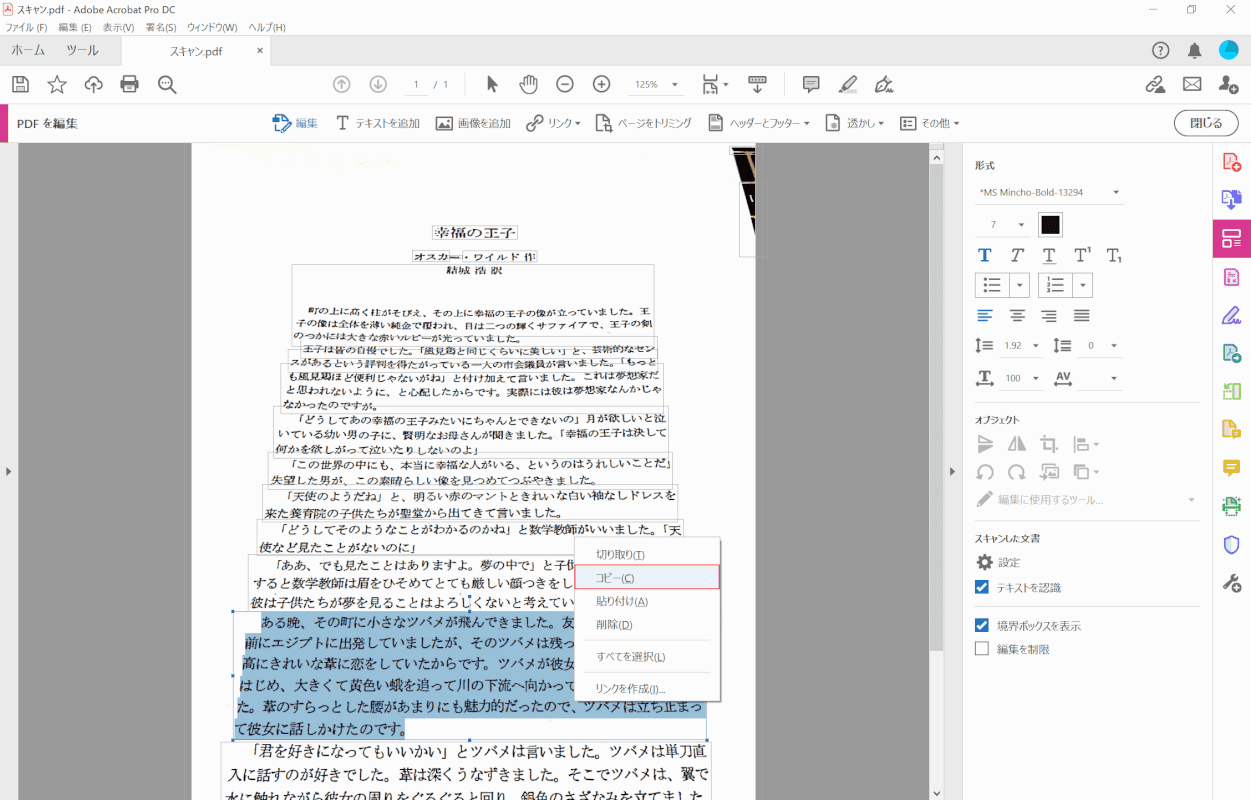 pdf-text-conversion Adobe Acrobat Pro copy